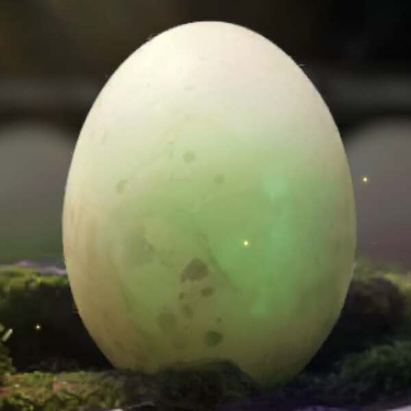 Egg Stage